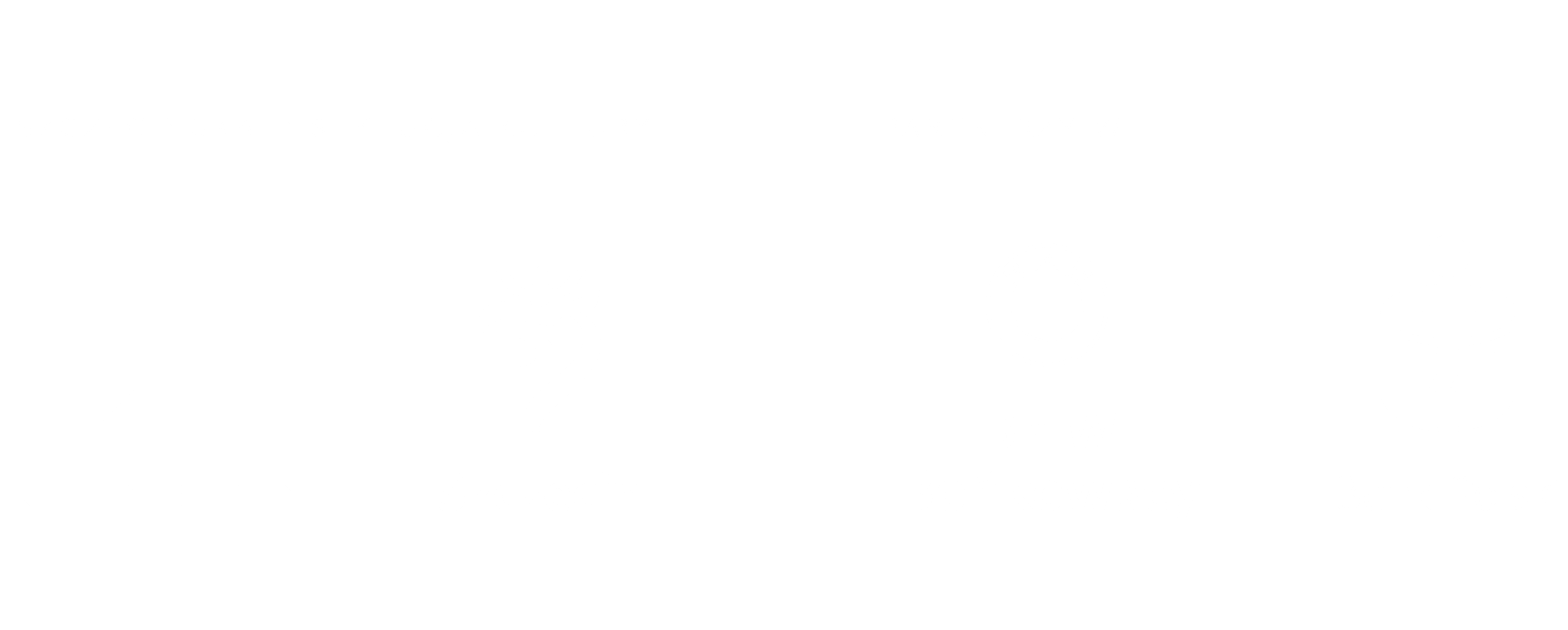 Logo partnera: Belka Willa Lentza
